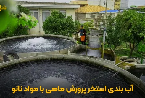 آب‌بندی استخر پرورش ماهی با مواد نانو، راهنمای کامل و کاربردی